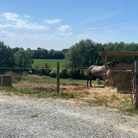 D'hotes Des Roseaux Bed & Breakfast
