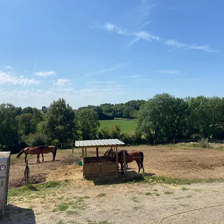 Bed & Breakfast D'hotes Des Roseaux *