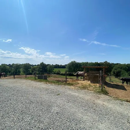 D'hotes Des Roseaux Bed & Breakfast La Foret-sur-Sevre