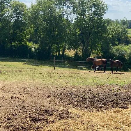D'hotes Des Roseaux Bed & Breakfast La Foret-sur-Sevre